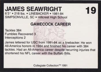 1991 Collegiate Collection South Carolina Gamecocks #19 James Seawright Back