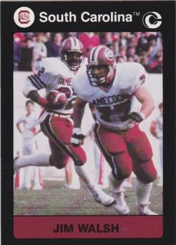 1991 Collegiate Collection South Carolina Gamecocks #145 Jim Walsh Front