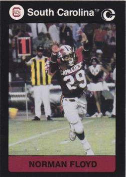 1991 Collegiate Collection South Carolina Gamecocks #165 Norman Floyd Front