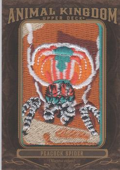 2013 Upper Deck Goodwin Champions - Animal Kingdom Patches #AK-206 Peacock Spider Front