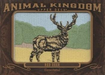 2013 Upper Deck Goodwin Champions - Animal Kingdom Patches #AK-211 Red Deer Front