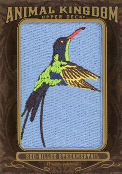 2013 Upper Deck Goodwin Champions - Animal Kingdom Patches #AK-239 Red-billed Steamertail Front