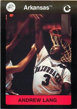 1991 Collegiate Collection Arkansas Razorbacks #67 Andrew Lang Front