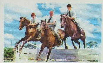 1970 Trucards Sport #8 Show Jumping Front