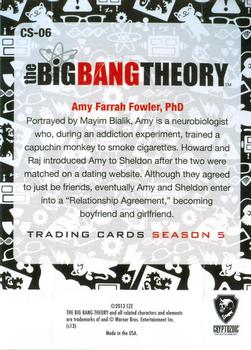 2013 Cryptozoic The Big Bang Theory Season 5 - Standees #CS-06 Amy Back