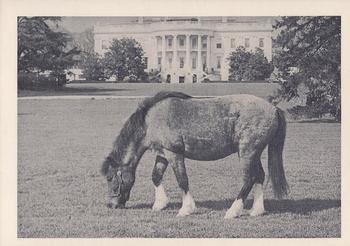 1963 Rosan John F. Kennedy #43 Pony Macaroni Front