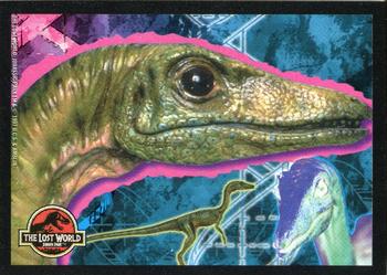 1997 Topps The Lost World: Jurassic Park - Stickers #7 Compsognathus Front