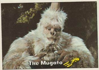 1976 Topps Star Trek #69 The Mugato Front
