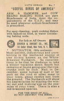 1931 Church & Dwight Useful Birds of America Sixth Series (J9-2) #7 Nuthatch Back