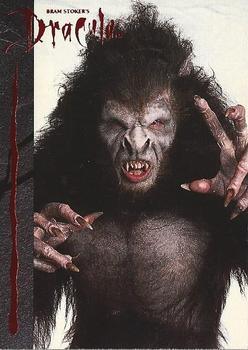 1992 Topps Bram Stoker's Dracula #NNO Werewolf Front