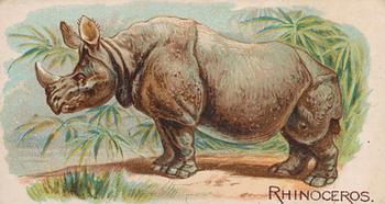 1909 Philadelphia Caramel Zoo (E28) #NNO Rhinoceros Front