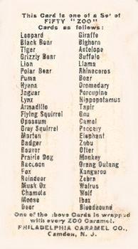 1909 Philadelphia Caramel Zoo (E28) #NNO Monkey Back