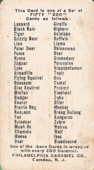 1909 Philadelphia Caramel Zoo (E28) #NNO Orangoutang Back