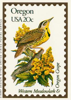 1991 Bon Air Birds and Flowers (50 States) #37 Oregon          Western Meadowlark        Oregon Grape Front