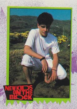 1990 Topps New Kids on the Block Series 2 #153 Cookie Lover Front