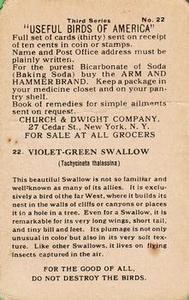 1922 Church & Dwight Useful Birds of America Third Series (J7) #22 Violet Green Swallow Back