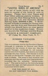 1922 Church & Dwight Useful Birds of America Third Series (J7) #2 Summer Tanager Back
