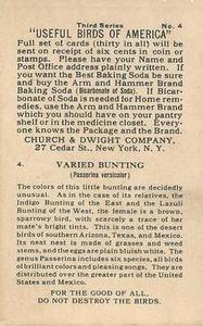 1922 Church & Dwight Useful Birds of America Third Series (J7) #4 Varied Bunting Back