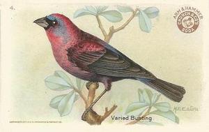 1922 Church & Dwight Useful Birds of America Third Series (J7) #4 Varied Bunting Front