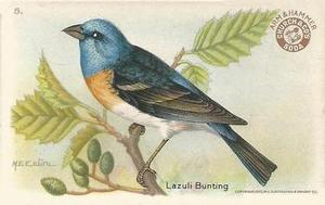 1922 Church & Dwight Useful Birds of America Third Series (J7) #5 Lazuli Bunting Front