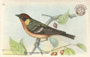 1922 Church & Dwight Useful Birds of America Third Series (J7) #9 Bay-breasted Warbler Front