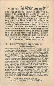 1922 Church & Dwight Useful Birds of America Third Series (J7) #12 Red-winged Blackbird Back