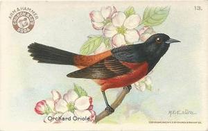 1922 Church & Dwight Useful Birds of America Third Series (J7) #13 Orchard Oriole Front