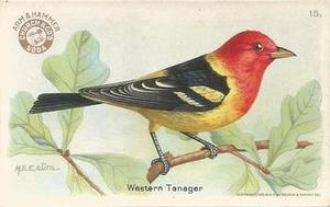 1922 Church & Dwight Useful Birds of America Third Series (J7) #15 Western Tanager Front