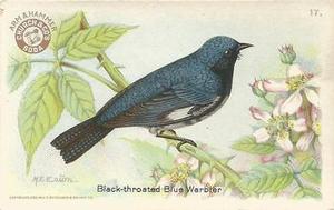 1922 Church & Dwight Useful Birds of America Third Series (J7) #17 Black-throated Blue Warbler Front