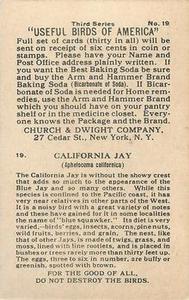 1922 Church & Dwight Useful Birds of America Third Series (J7) #19 California Jay Back