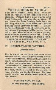 1922 Church & Dwight Useful Birds of America Third Series (J7) #23 Green-tailed Towhee Back
