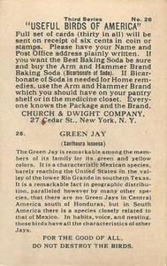 1922 Church & Dwight Useful Birds of America Third Series (J7) #26 Green Jay Back