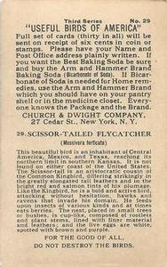 1922 Church & Dwight Useful Birds of America Third Series (J7) #29 Scissor-tailed Flycatcher Back