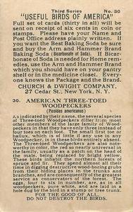1922 Church & Dwight Useful Birds of America Third Series (J7) #30 American Three-toed Woodpecker Back