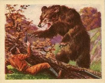 1933 Planters Big Game Hunted Animals (R71) #2 Grizzly Bear Front