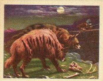 1933 Planters Big Game Hunted Animals (R71) #12 Hyaena Front