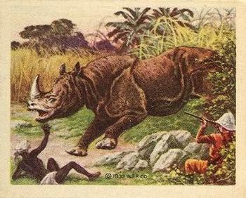 1933 Planters Big Game Hunted Animals (R71) #25 Rhinoceros Front