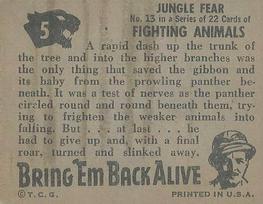 1950 Topps Bring 'Em Back Alive (R714-2) #5 Jungle Fear Back
