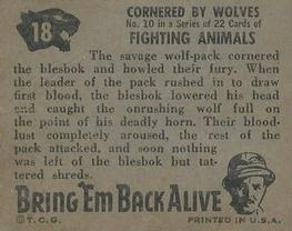1950 Topps Bring 'Em Back Alive (R714-2) #18 Cornered by Wolves Back