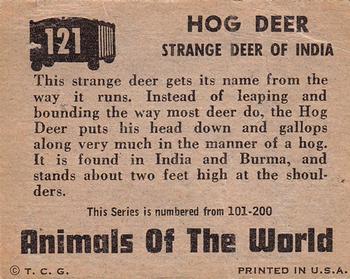 1951 Topps Animals of the World (R714-1) #121 Hog Deer Back