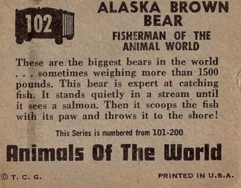 1951 Topps Animals of the World (R714-1) #102 Alaska Brown Bear Back