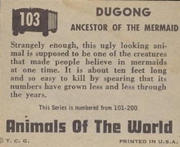 1951 Topps Animals of the World (R714-1) #103 Dugong Back