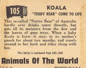 1951 Topps Animals of the World (R714-1) #105 Koala Back