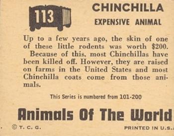 1951 Topps Animals of the World (R714-1) #113 Chinchilla Back