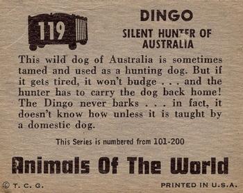 1951 Topps Animals of the World (R714-1) #119 Dingo Back
