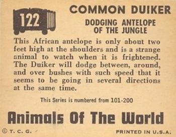 1951 Topps Animals of the World (R714-1) #122 Common Duiker Back