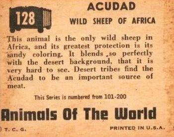 1951 Topps Animals of the World (R714-1) #128 Acudad Back
