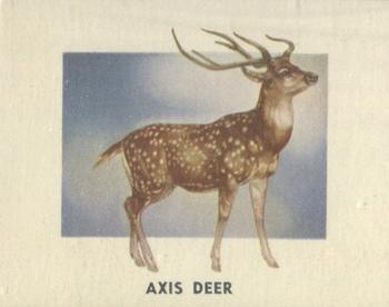 1951 Topps Animals of the World (R714-1) #133 Axis Deer Front
