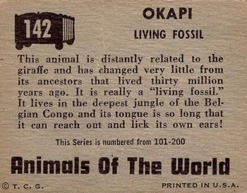 1951 Topps Animals of the World (R714-1) #142 Okapi Back