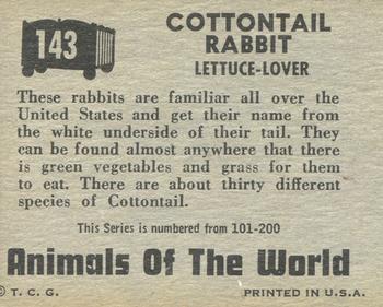 1951 Topps Animals of the World (R714-1) #143 Cottontail Rabbit Back